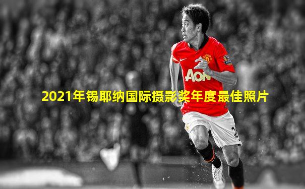 2021年锡耶纳国际摄影奖年度最佳照片