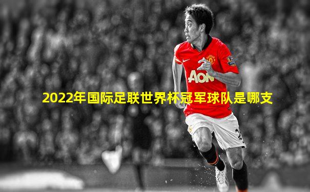 2022年国际足联世界杯冠军球队是哪支