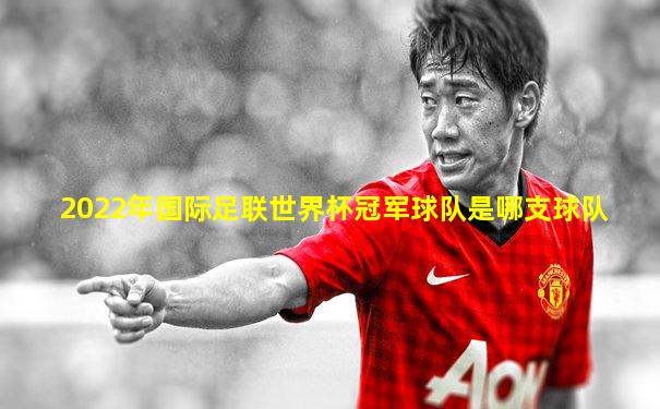 2022年国际足联世界杯冠军球队是哪支球队