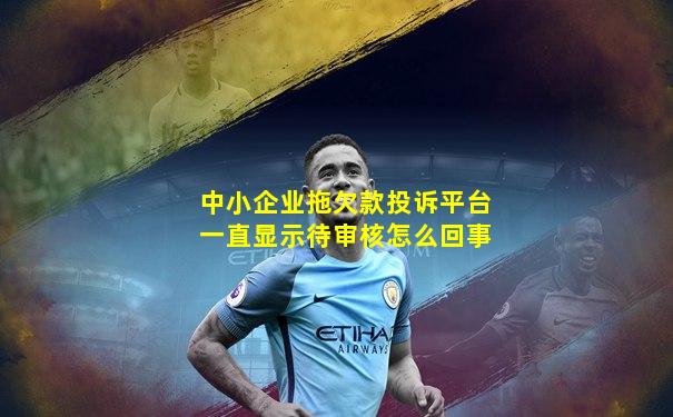 中小企业拖欠款投诉平台一直显示待审核怎么回事