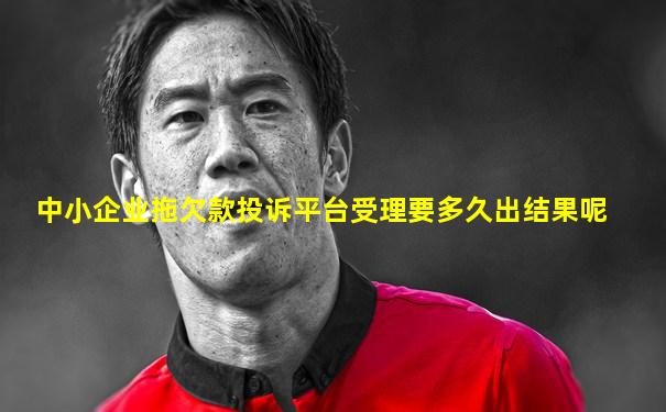 中小企业拖欠款投诉平台受理要多久出结果呢