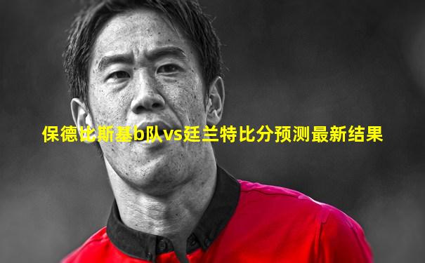 保德比斯基b队vs廷兰特比分预测最新结果