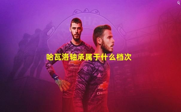 哈瓦洛轴承属于什么档次