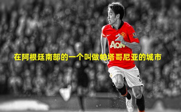 在阿根廷南部的一个叫做帕塔哥尼亚的城市
