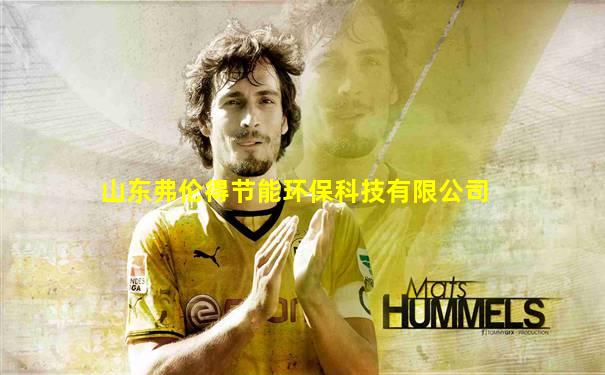 山东弗伦得节能环保科技有限公司