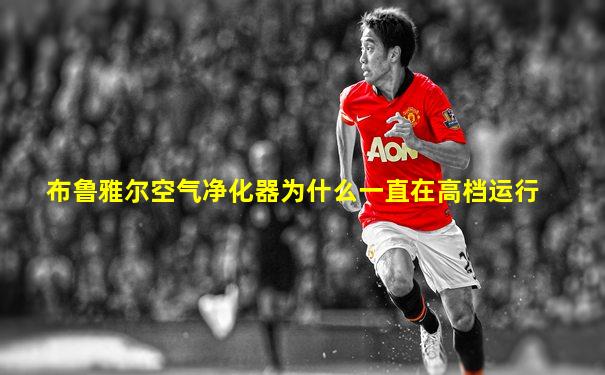 布鲁雅尔空气净化器为什么一直在高档运行
