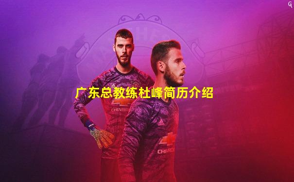 广东总教练杜峰简历介绍