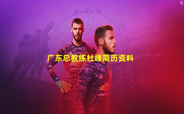 广东总教练杜峰简历资料