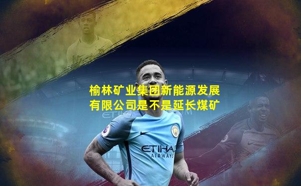 榆林矿业集团新能源发展有限公司是不是延长煤矿