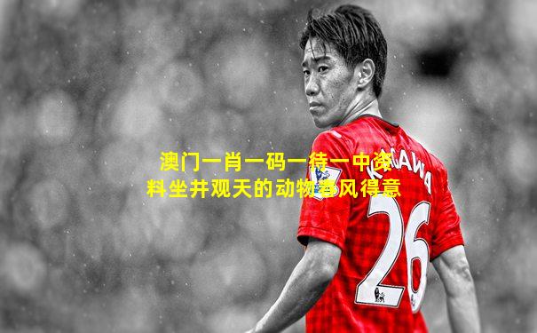 澳门一肖一码一待一中资料坐井观天的动物春风得意
