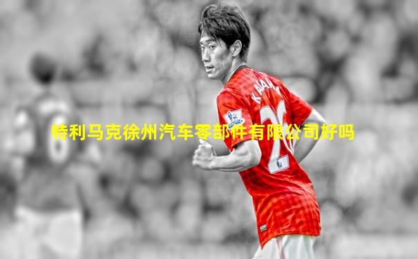 特利马克徐州汽车零部件有限公司好吗