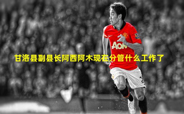 甘洛县副县长阿西阿木现在分管什么工作了