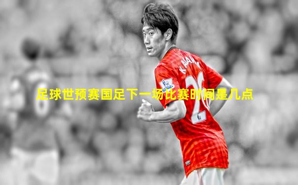足球世预赛国足下一场比赛时间是几点