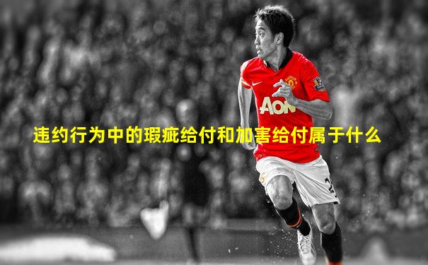 违约行为中的瑕疵给付和加害给付属于什么