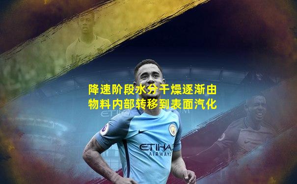 降速阶段水分干燥逐渐由物料内部转移到表面汽化